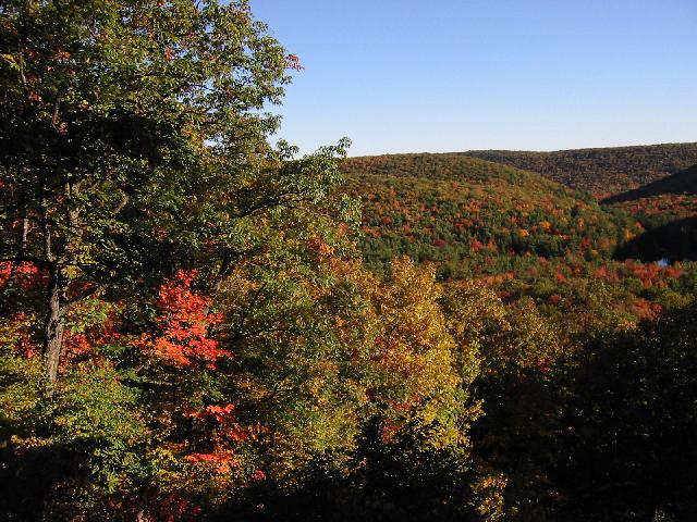 Image of Overlook at R. B. Winter State Park